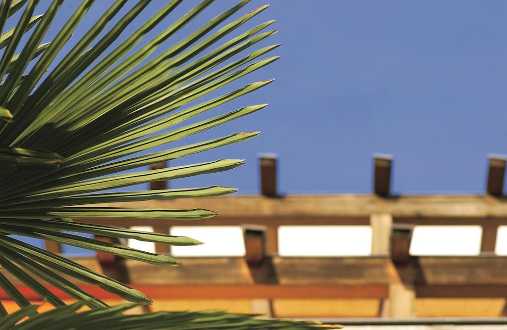 Residence Haus Kalterersee Caldaro Dış mekan fotoğraf