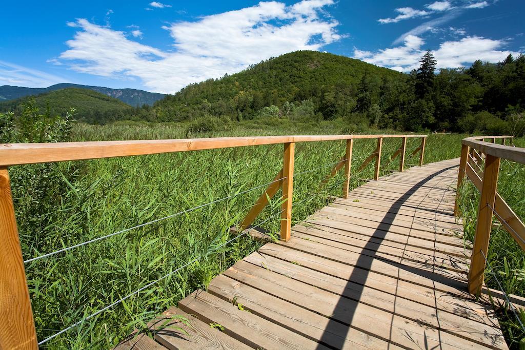 Residence Haus Kalterersee Caldaro Dış mekan fotoğraf